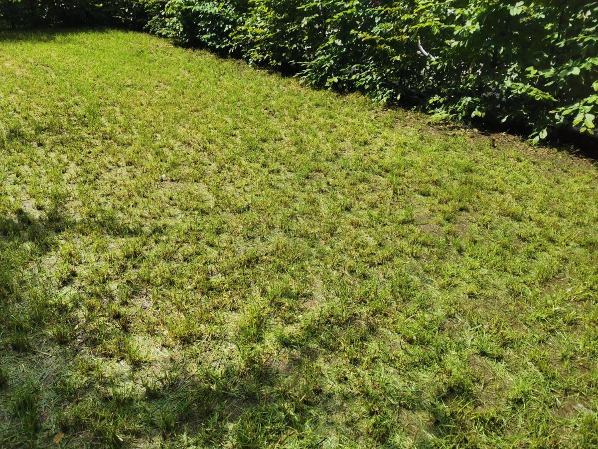 Apartment Near Fair And Central City In Few Min, With Garden Frankfurt am Main Kültér fotó